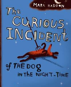 THE CURIOUS INCIDENT OF THE DOG IN THE NIGHT TIME PB B FORMAT