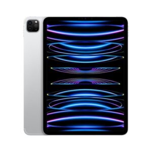 Apple iPad Pro 11" 2022 256GB Wi-Fi + Cellular Silver