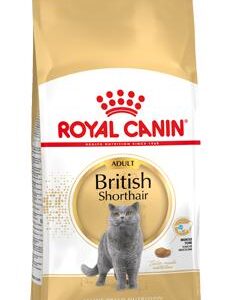 Ξηρά Τροφή Royal Canin British Shorthair Adult 10kg