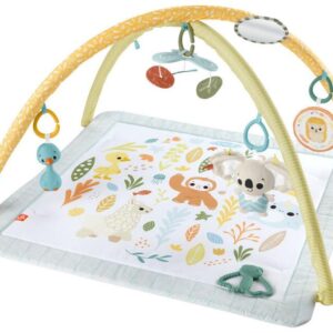 Mattel Fisher-Price Simple Senses Newborn Gym για 0+ Μηνών HRB15