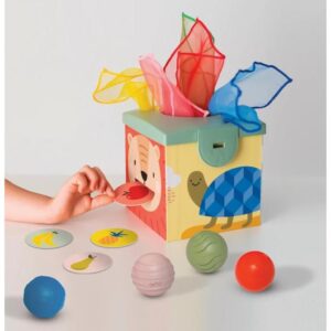 Taf Toys 12965 Magic Box Για 12+ Μηνών