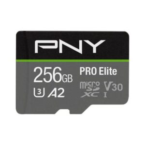 Memory Card PNY P-SDU256V32100PRO-GE